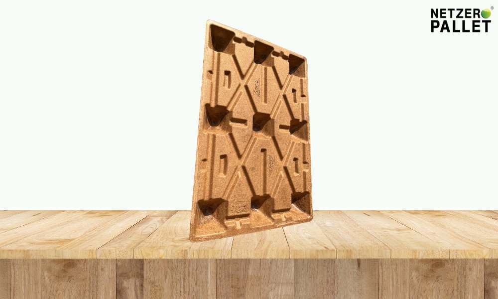 Đôi nét về pallet dừa chịu nước