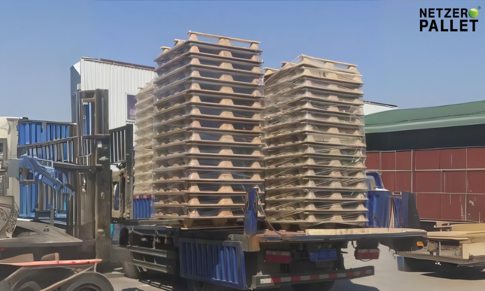 Pallet dừa được ứng dụng như thế nào trong hàng hóa xuất khẩu?