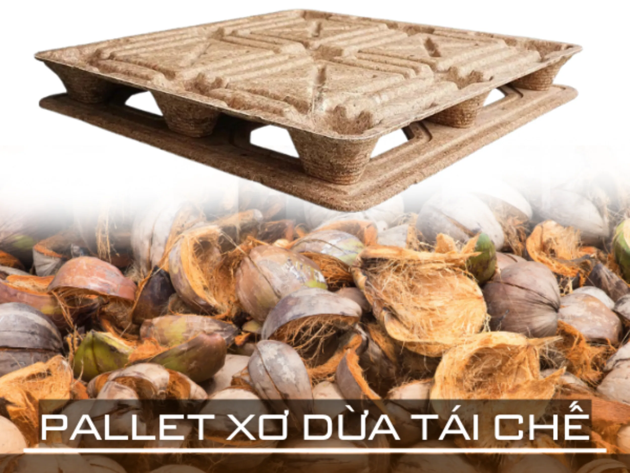 Pallet xơ dừa sản phẩm tái chế từ phế phẩm nông nghiệp