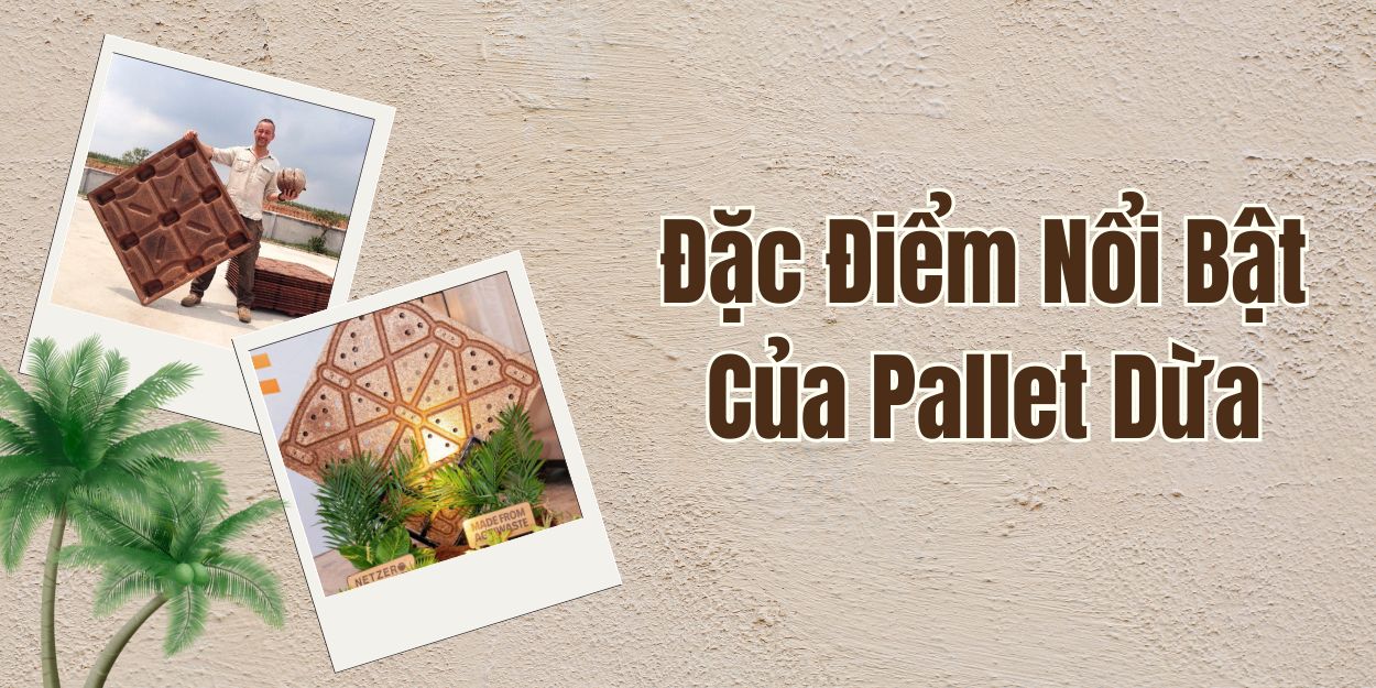 Đặc Điểm Nổi Bật Của Pallet Dừa