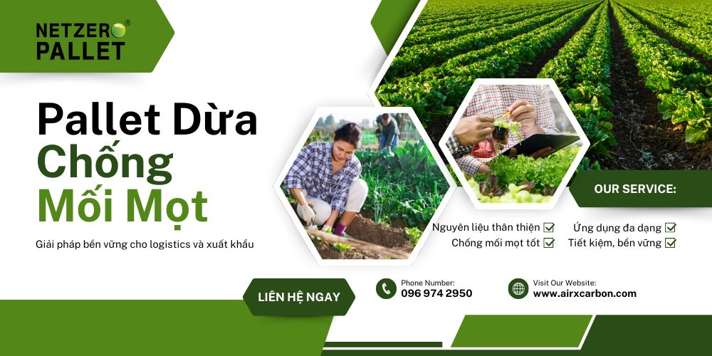 Pallet Dừa Chống Mối Mọt