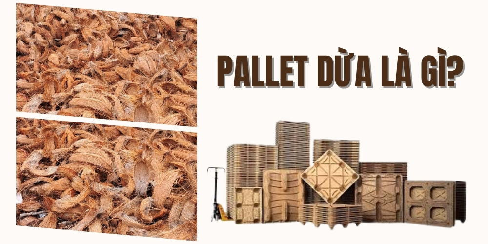 Pallet dừa là gì