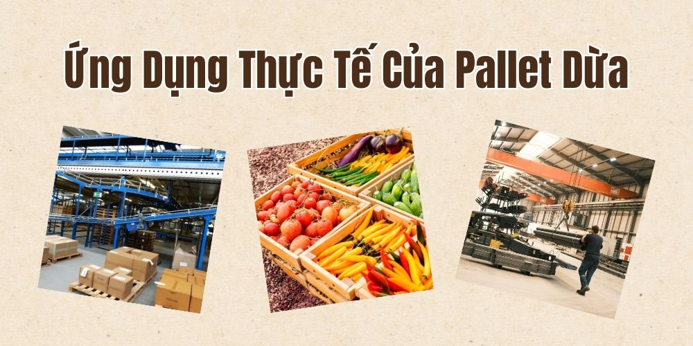 Ứng Dụng Thực Tế Của Pallet Dừa
